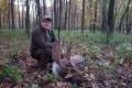 Fallow buck hunt in world famous Gúth