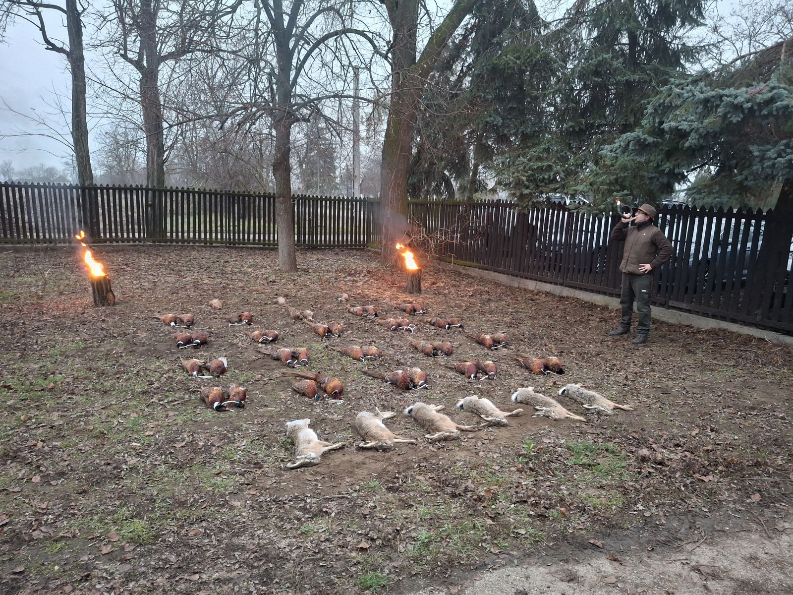 Small game hunting in Csongrád county