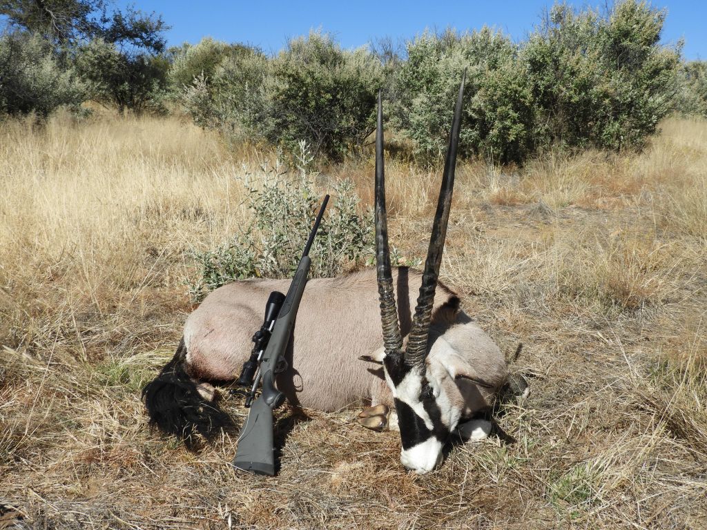 Antilope hunting in Namibia