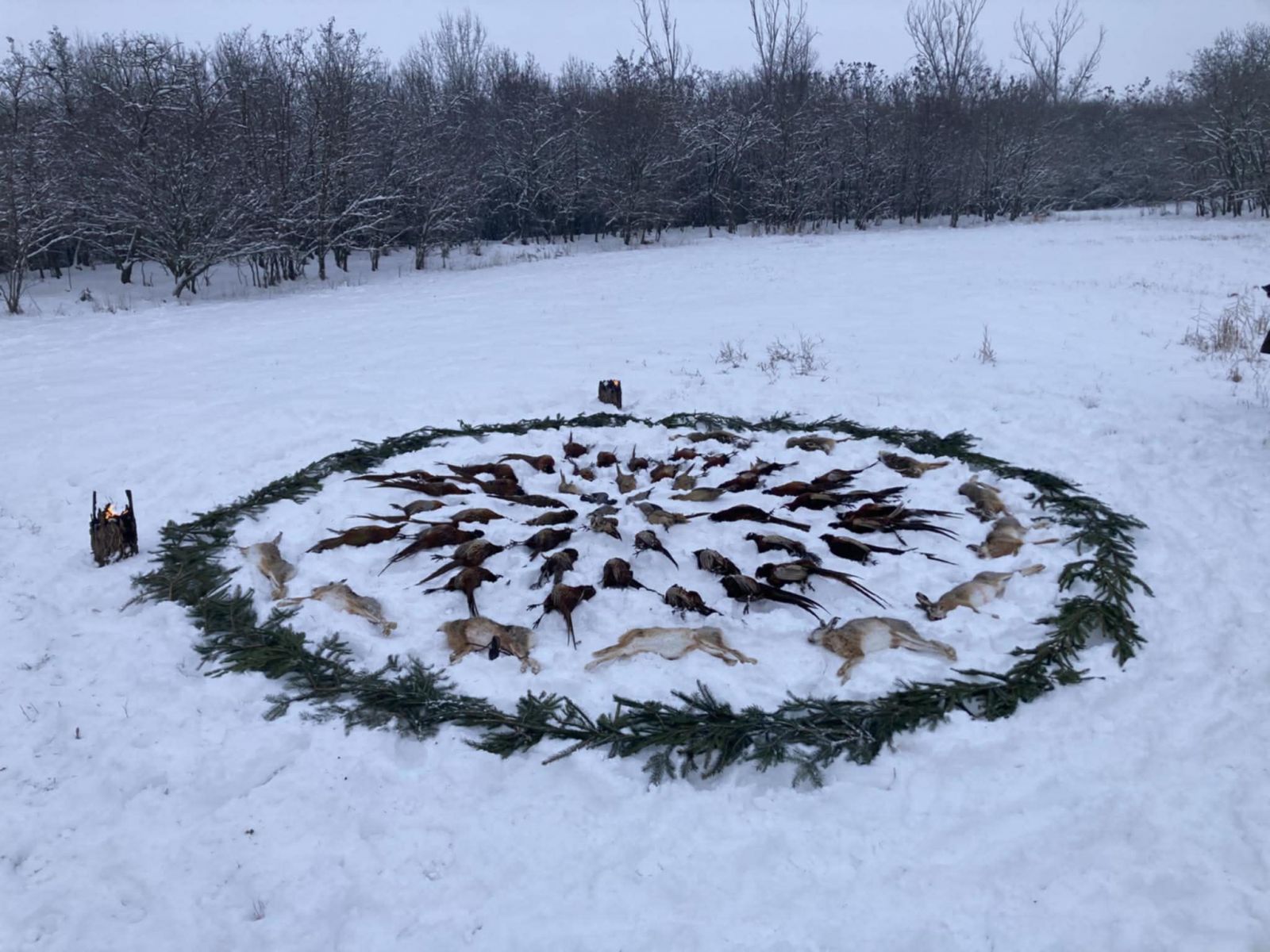 Small game hunting near Szentes