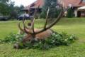 Bow hunt in North - Hungary (fenced area)