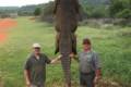 Trophy and culling hunt in South - Africa