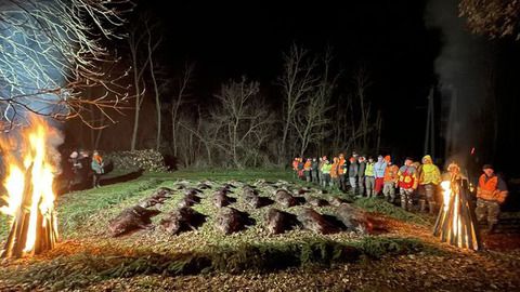 Driven hunting in Somogy county (Karád)