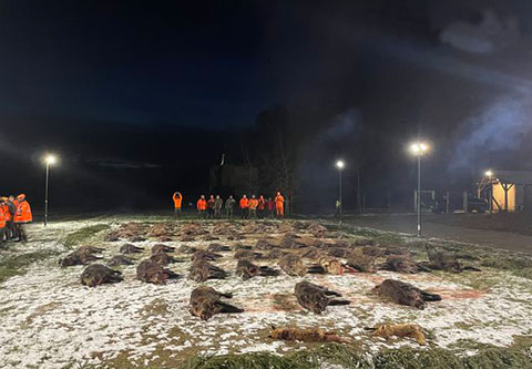 Driven hunt near Austrian border