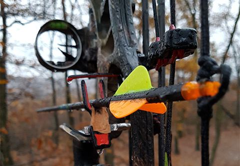 Bowhunt in West - Hungary in fenced area (700 ha)