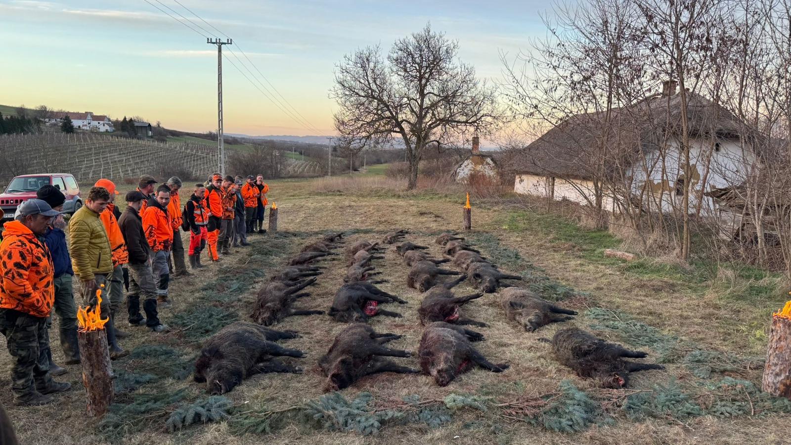 Driven hunt at the Lake Balaton