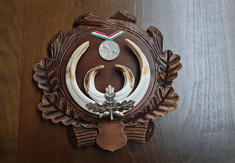 Female deer hunting in East-Hungary with horse cart in wold famous Gúth