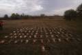 Small game hunting near Szolnok