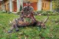 Fallow buck hunt in South - Hungary