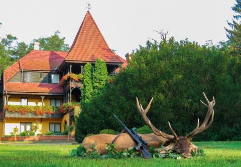 Red stag hunt in East-Hungary