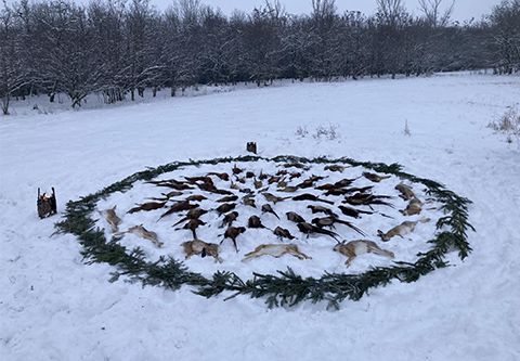 Small game hunting near Szentes