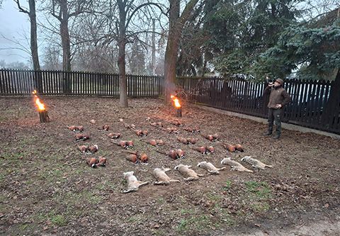 Small game hunting in Csongrád county